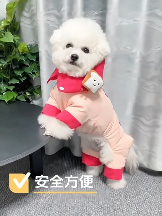 秋冬新款宠物加厚棉衣, 泰迪比熊博美猫咪小型犬狗狗衣服冬天保暖衣服 #宠物衣服 #萌宠出道计划 #狗狗衣服 #萌宠衣服 #萌犬