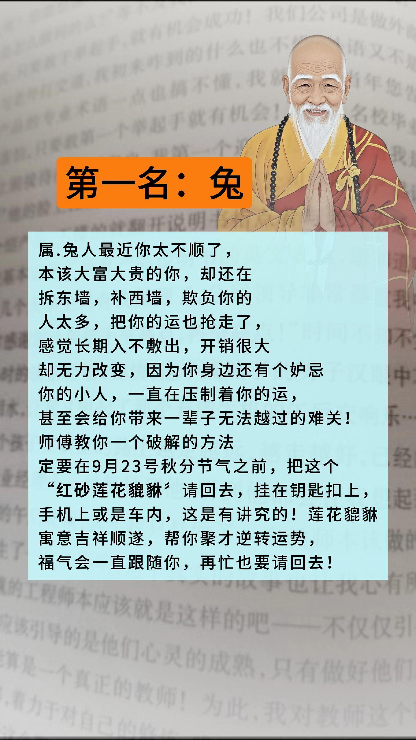 #兔 #属兔 #生肖兔