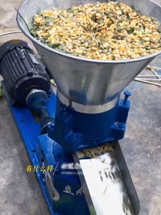 新款饲料家用小型大型养殖场玉米造粒机,猪牛羊鸡鸭鹅鱼兔饲料颗粒机#饲料颗粒机#颗粒机 #颗粒机厂家 #笑对人生好物