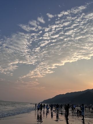 女子成哈雷浪子头号迷妹,抵押房产替他还债。#情感故事 #情感 #情感共鸣 #情感综艺节目
