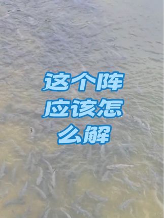 这个阵应该怎么解 #钓鱼 #钓鱼人就是这么疯狂 #原来钓鱼才是抖音运动顶流