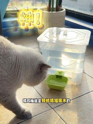 这才是邪修养猫的省钱大法啊!!#猫咪喝水 #宠物饮水机 #新手养猫 #科学养宠