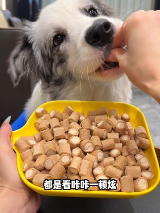 好物分享, 鱼油夹心鸡肉冻干!  #科学养宠 #萌宠好物 #狗零食 #掉毛季 #宠物零食