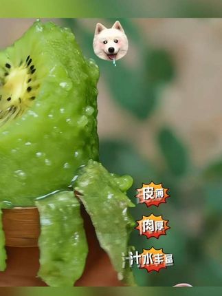 徐香猕猴桃🉑#猕猴桃 #当季水果 #好吃到爆 #超便宜超划算 #香甜多汁 @上热门🔥🔥🔥 @抖加🔥上热门🔥dou+🔥热点宝 @抖音小助手 @DOU+小助手