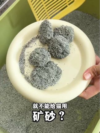 养猫人的尽头都得是矿砂,沙漠般的脚感是咪咪乐意用的,除臭和结团方面都是没得挑的,铲屎官的体验感倍儿好#猫砂测评 #猫砂 #萌宠好物 #新手养猫