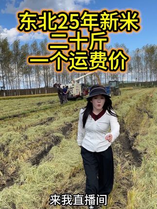 #粮农膳稻 2025新米上市!绿色食品,东北长粒香米。新米限时福利价,口感软糯香甜。健康天然好大米,福利数量有限!快快点击小黄车吧!#长粒香 #东北大米    #东北通河大米最好吃  #绿色食品