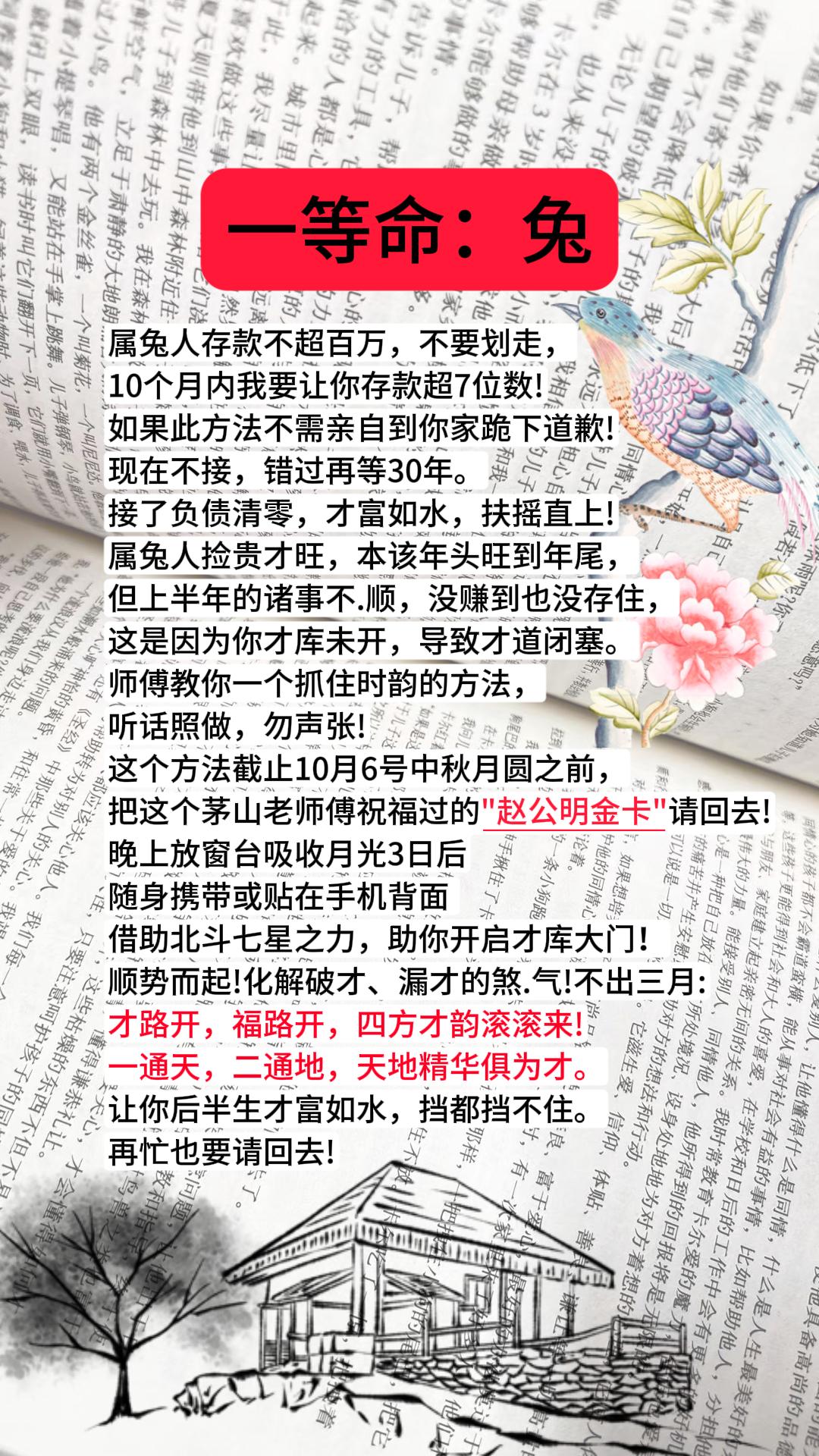 #1963年的兔 #1975年的兔 #1987年的兔子