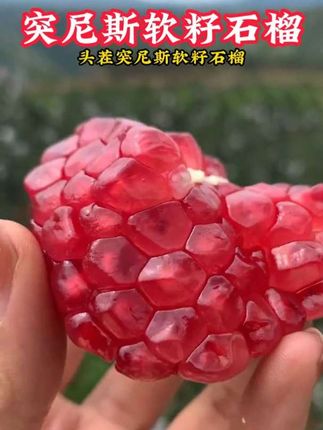 【5斤亏本冲量】突尼斯软籽石榴四川会理水果新鲜整箱当季甜红宝石
