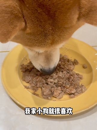 1分钟get一碗健康鲜食,小狗分分钟光盘~#狗狗鲜食推荐 #狗饭 #萌宠出道计划 #狗狗好物推荐