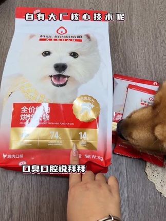 双十一才这价!又能长肉关键还能清洁口腔的狗粮真的不多见#家有馋狗 #养狗经验分享 #狗粮 #双十一养狗 #科膳