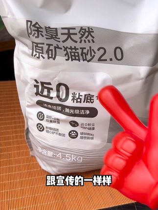 网易钠基木薯矿砂2.0版本比上一代更好用,家里有养猫的都可以试试#网易矿砂 #钠基矿砂 #猫砂推荐 #科学养宠攻略 #新手养猫