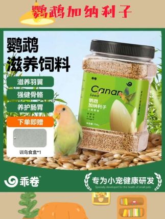 加纳利子精品鹦鹉玄风虎皮牡丹鹦鹉低脂肪高蛋白易消化鸟鹦鹉零食#加纳利子 #鹦鹉零食 #鹦鹉加纳利子 #鹦鹉日常 #鹦鹉鸟粮