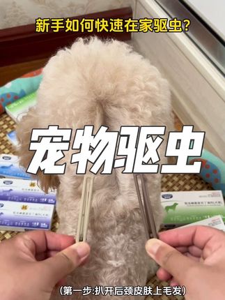 想自己在家给毛孩子做驱虫的,就用这个内外一体的吡虫啉莫昔克丁滴剂,好用又便宜!#养狗经验分享 #科学养宠攻略 #新手养狗 #新手养猫 #无限回购的宝藏单品