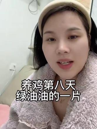 养鸡第八天亏麻了#宝妈分享 #搞钱#理财#三胎宝妈 #婆媳