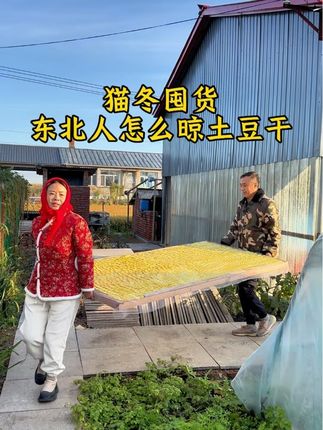 多数南方朋友都没吃过的土豆干,可是东北人猫冬离不开的干菜之一,今天把晾晒全过程和怎么吃的全过程发出来!#土豆干炖鸡 #土豆干 #太好吃了 #乡村味道 #东北农村生活vlog
