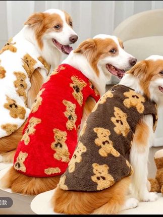 大狗秋冬服饰来啦!比熊金毛/无毛猫都能穿,毛绒保暖,宠物秋冬保暖刚需!#宠物衣服 #宠物用品