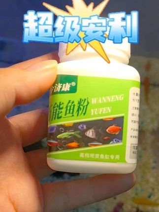 观赏鱼的烂气烂尾如何预防烂身烂肉、外伤感染怎么办?可以试试这样#万能鱼粉#养鱼经验分享#鱼粉#养鱼养心#养鱼