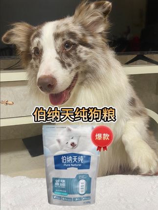 这价格卷的我都不信了,到手14.9#伯纳天纯舒纯系列狗粮  #养狗经验分享 #萌宠好物 #萌宠出道计划 #狗粮