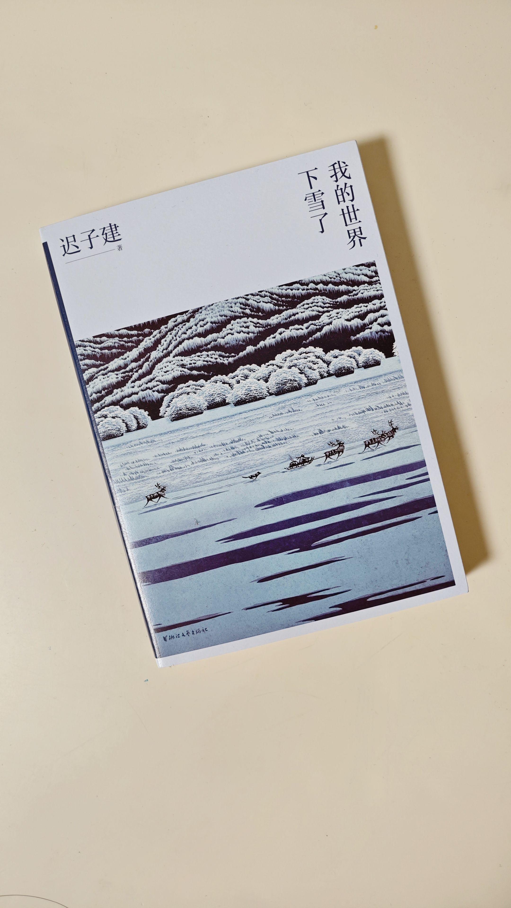 “微风吹皱了河水”“我不惧怕苍老,因为我愿意青丝变成白发的时候,月光会与我发发丝相融为一体”迟子建老师的文笔真的太美了!总想看一遍又一遍。#迟子建 #好书分享 #我的世界下雪了