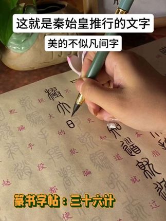 这就是秦始皇推行的文字,美的不似凡间字#三十六计#篆书#字帖#写字是一种生活#书法学习