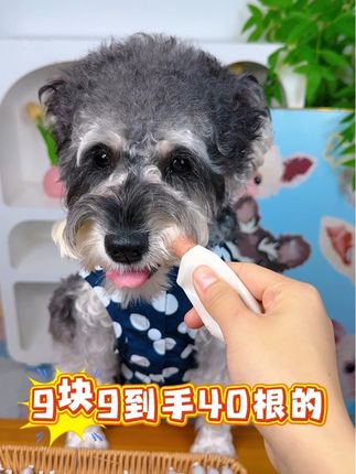 九块九到手40根的鸭肉鳕鱼肠,好吃还不贵#宠物零食 #鸭肉鳕鱼肠