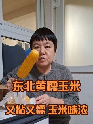 东北黄糯玉米 又粘又糯 玉米味浓#强烈推荐 #快来一起尝个鲜 #好货 #农产品 #新鲜出炉