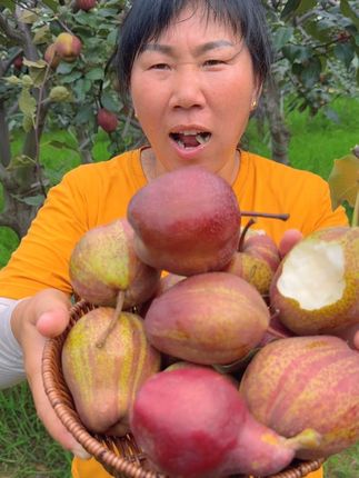 #彩虹梨#口感特别好 #抖音新农人