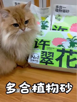 一款好用的猫砂真的让养猫人如沐春风!结团如此精准,怪不得那么省砂!#许翠花猫砂 #强烈推荐 #养猫人 #猫咪 #萌宠好物