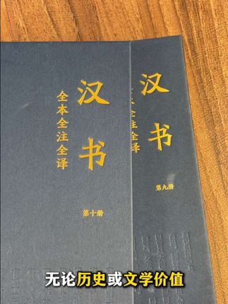如果没有这套汉书,我们可能缺少很多典故#汉书 #历史