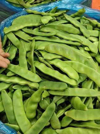 紫花油豆角,小黄车下单。
