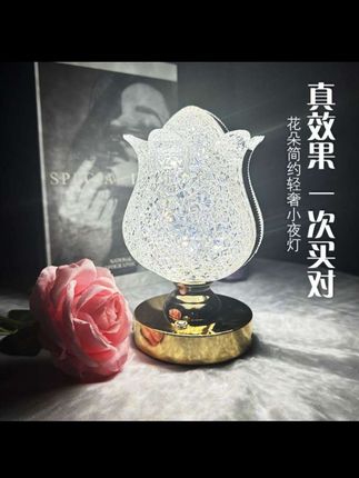 【日本进口】轻奢复古客厅玫瑰简约卧室房间亚克力小夜灯充电氛围灯#小夜灯 #强烈推荐 #自用好物推荐 #家居好物 #好物推荐达人