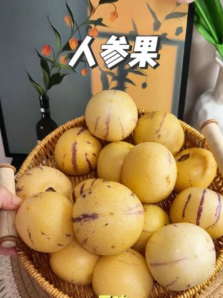 一口爆汁,从来没有吃过那么好吃清甜的人参果,汁水超多,一口爆汁!