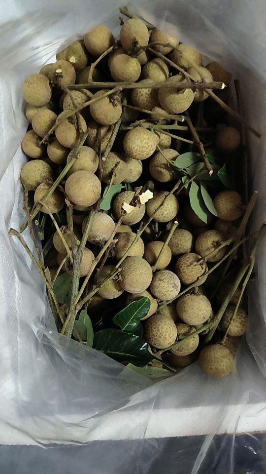 新鲜度:非常新鲜, 包装好 口感味道:非常甜, 商品分量:足斤足两#我在抖音买买买
