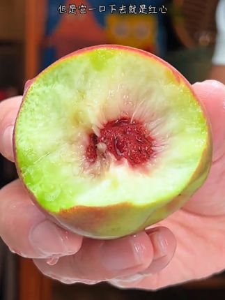 心心念念的青州脆蜜桃终于吃到了!脆甜如蜜,放几天软了再吃就口口爆汁!!都是果园现摘现发的超新鲜,真的嘎嘣脆超甜超好吃!!#新鲜应季水果#脆桃#优质农产品#新鲜采摘#水果