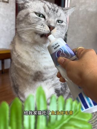 猫咪排毛很重要!每天喂点化毛膏,再也不用担心毛球了#化毛膏#俏贝丽化毛膏 #养猫新手#养猫经验分享#萌宠好物
