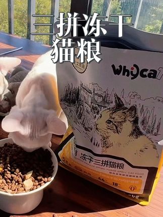 家里有瘦瘦不长肉的小猫真的可以试试这款猫粮#猫粮#三拼冻干猫粮#猫粮推荐#whycat猫粮