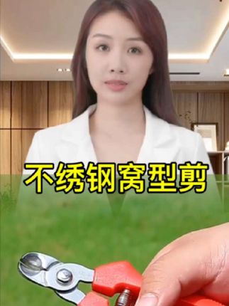窝型摘果剪番茄苹果专用橘子窝子剪采摘水果果柄凹形脐橙修枝剪 #好物推荐分享 #果园必备 #不绣钢 #窝型剪 #摘果剪@DOU+小助手