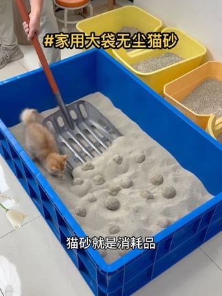 画个图案来看一下猫砂的结团性,两天不铲也不臭,而且吸水也快,结团紧实好铲不散细,没粉尘!个位数到手十斤。家里面有猫孩子的快腾起来吧!怎莫用都不心疼#猫砂#家用猫砂#大袋猫砂#萌宠好物