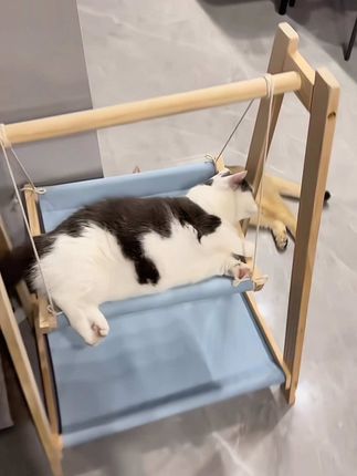木质猫吊床猫窝上下双层夏天宠物摇床猫咪吊床秋千#养猫的乐趣 #猫咪的迷惑行为 #猫玩具 #猫吊床 #猫秋千