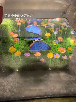 就好似我们成长一般,从刚开始的懵懂无知,到最后的轻车熟路!#小夜灯 #成就感 #机械蝴蝶diy #礼物