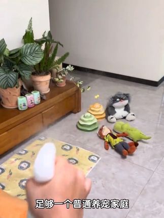 买带防伪标的敌特,真的可以消除家里的养宠异味#敌特 #生物酶除臭 #除臭剂 #敌特除臭剂 #清洁神器