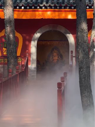 愿神明偏爱 一切从欢 。#普宁寺
