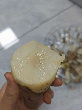 #一口一口把你吃掉 #吃水果 雪莲果,喊脆甜多汁,太好吃了吧!