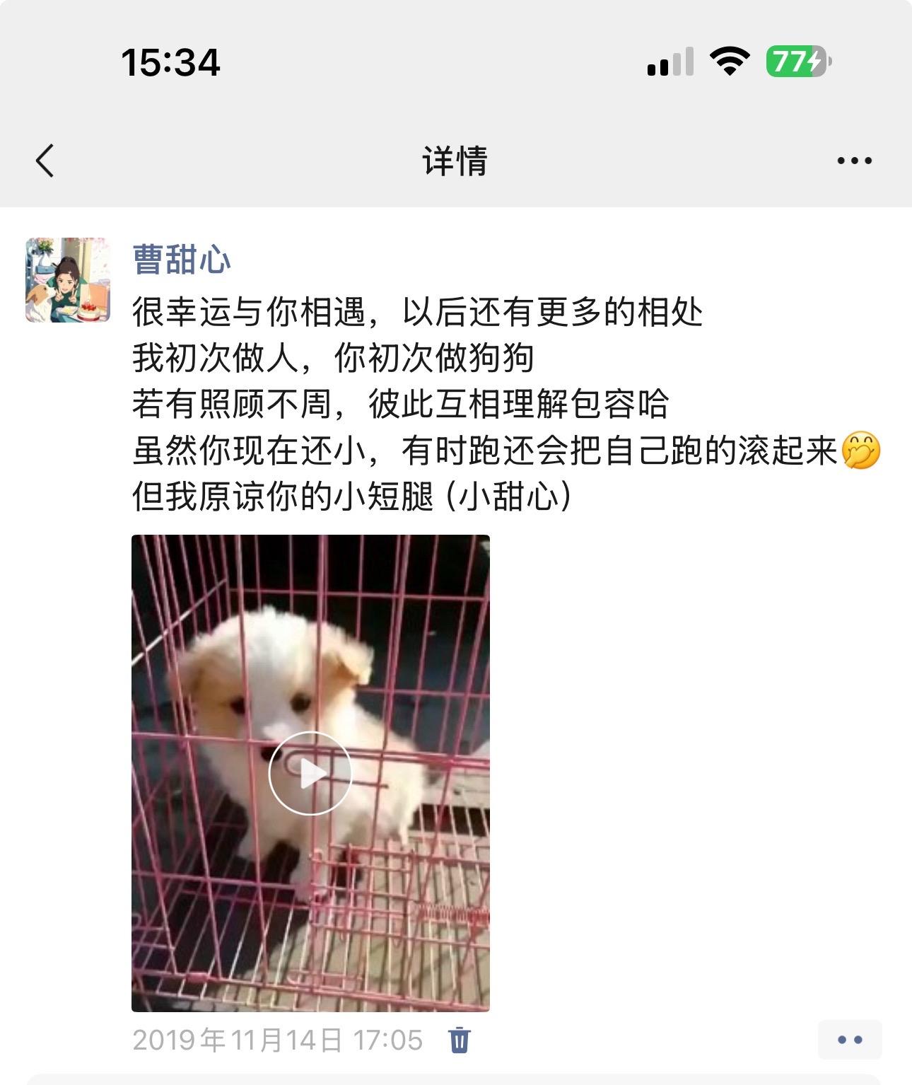 祝甜心宝贝6岁生日快乐,回顾6年来的瞬间,遗憾的是3岁生日给你忙忘记了,少一年生日你一定要比自己预期多给我活一年,感谢一切的经历让这个生日比之前多了很多祝福和礼物,希望一切不好的由我来承担,只愿你平安健康快乐幸福 #狗狗生日仪式感 #狗狗的心思都写在脸上了 #狗狗故事 #狗狗是生活的解药 #萌宠