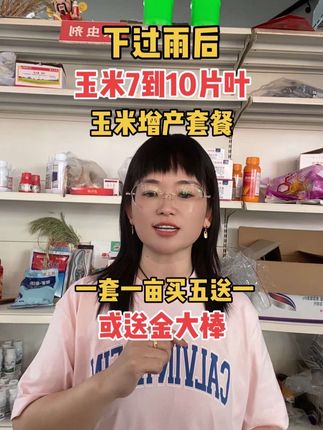 下过雨后!玉米7到10片叶!一套一亩地买五送一,#三农流量扶持计划 #三农#超便宜超划算 @DOU+小助手 @DOU+上热门
