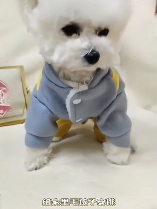 小狗狗秋冬装,可爱背带裤四脚衣,加绒加厚,泰迪博美柯基比熊猫咪衣服 #萌宠 #宠物狗 #狗狗衣服#萌宠衣服#宠物衣服