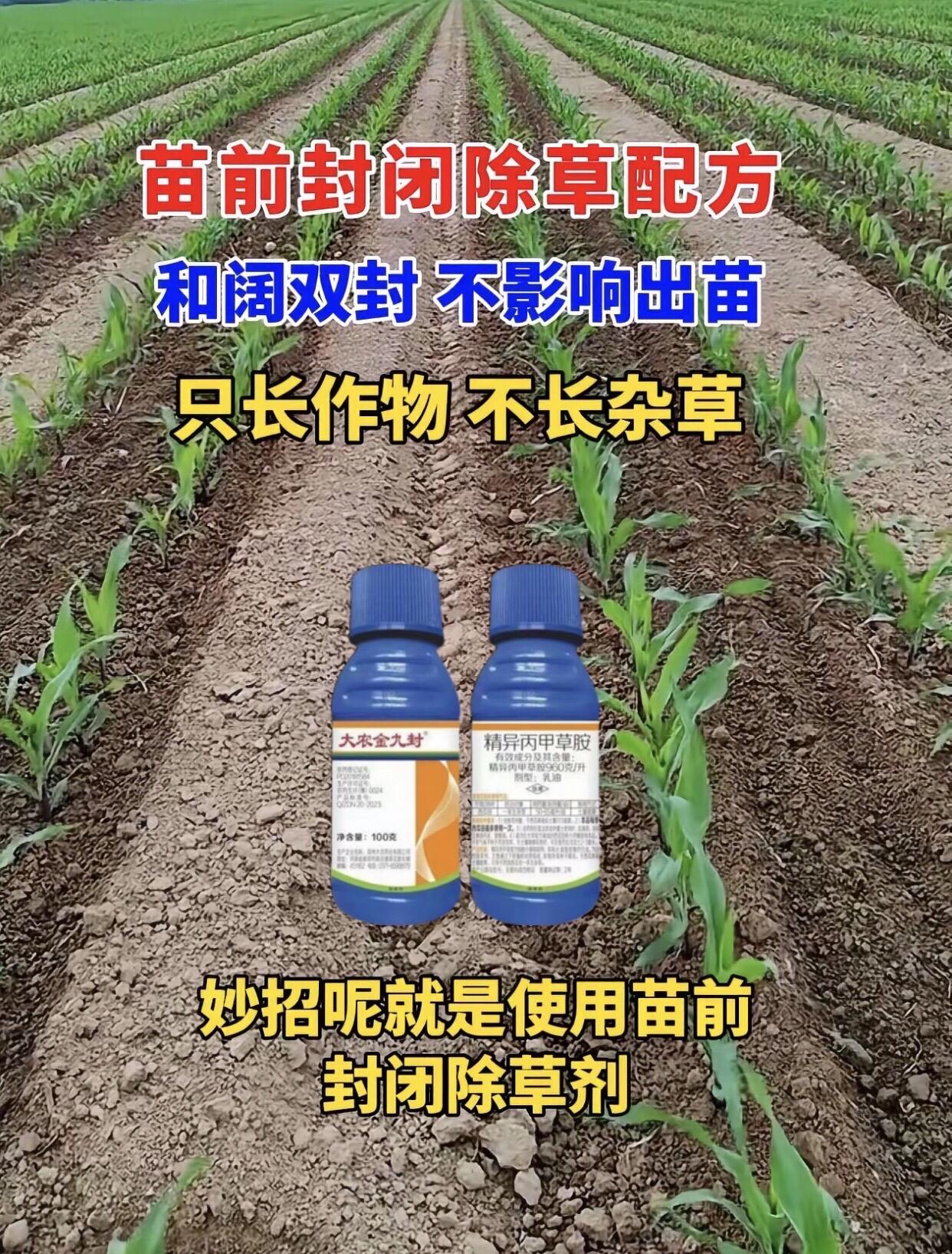 瓜果蔬菜苗前封闭除草剂。#蔬菜种植#除草剂#苗前封闭除草剂 #封闭除草剂#分享农业知识帮农民增产增收