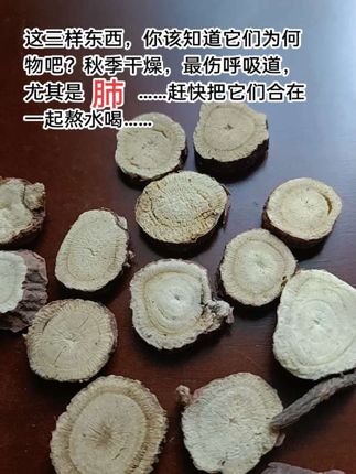 肺,喜润恶燥。春季,养肝。夏季,养心。秋季,养肺。冬季,养肾!