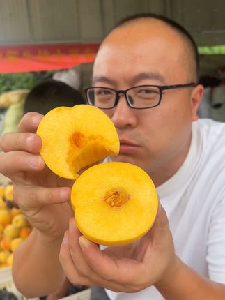 蒙阴黄桃又香又甜! #优质农产品