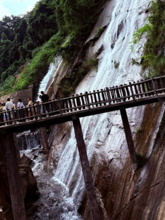 Lucky Case 原创〖苹果大象〗适用苹果iPhone13-16Promax个性防摔#可爱手机外壳 #数码产品 #爱了爱了 #这手机壳真的长在我的心头上了 #手机壳